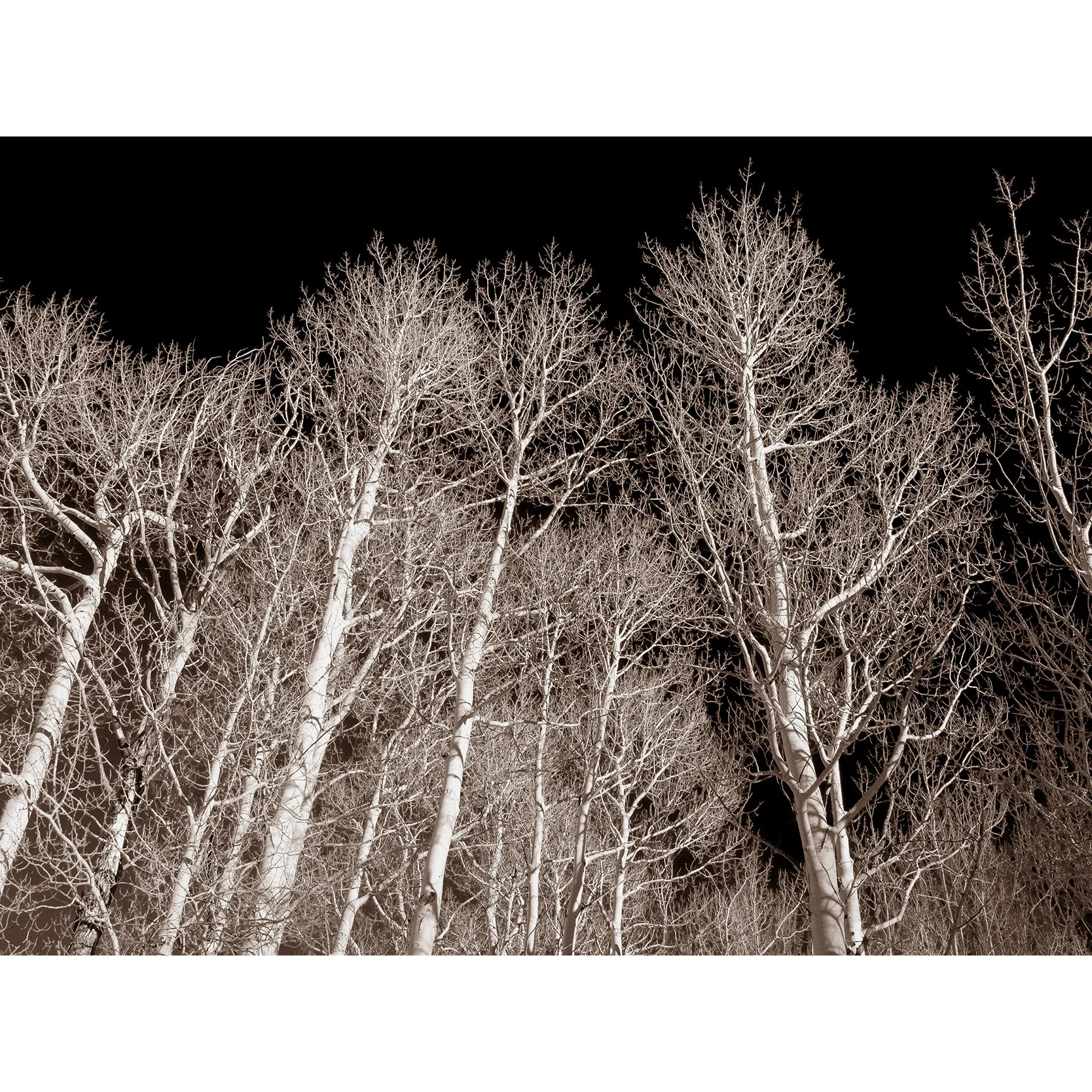 Aspen Air — Light Catcher Film Fine Art Gallery